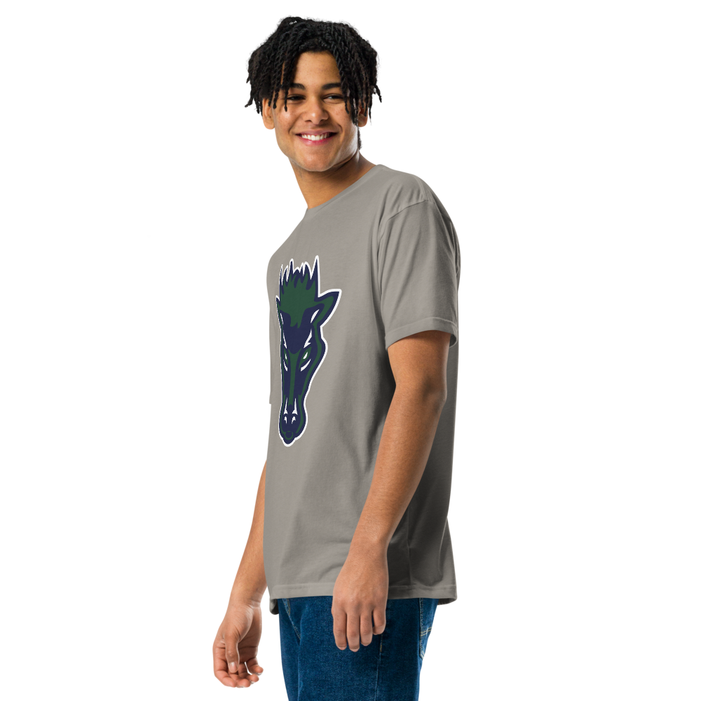Damonte Ranch High School Design 1 — Stone Grey