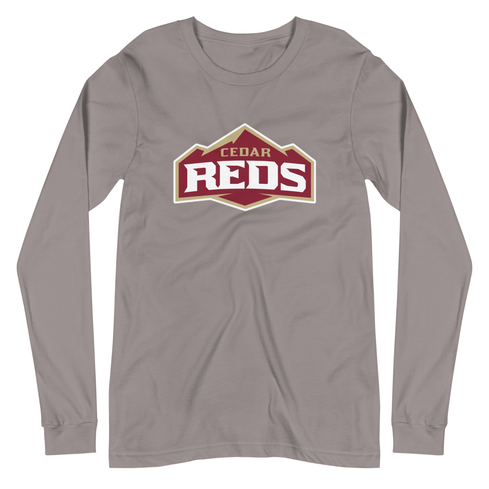 Cedar High School Design 1 — Storm