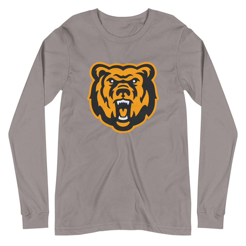 Leroy High School Design 1 — Storm