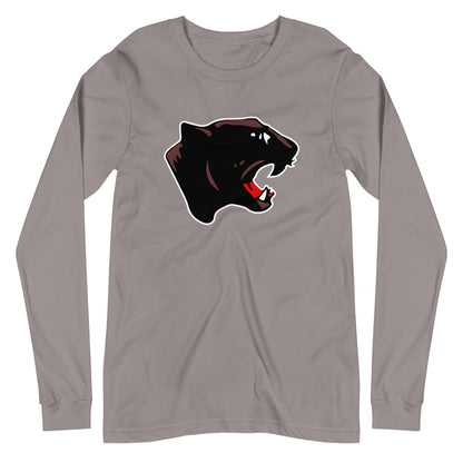 Collinsville High School Design 1 — Storm
