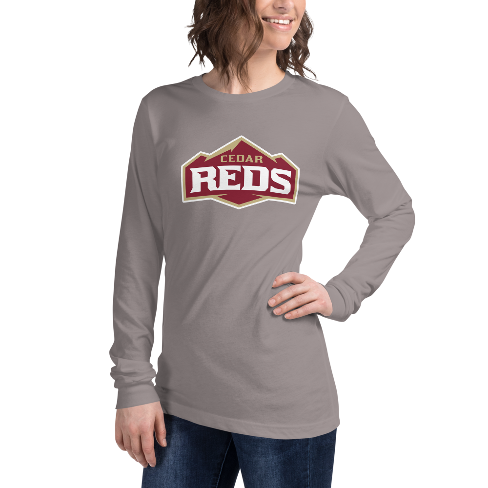 Cedar High School Design 1 — Storm