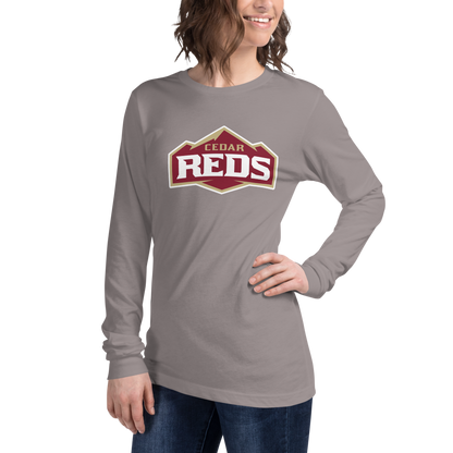 Cedar High School Design 1 — Storm
