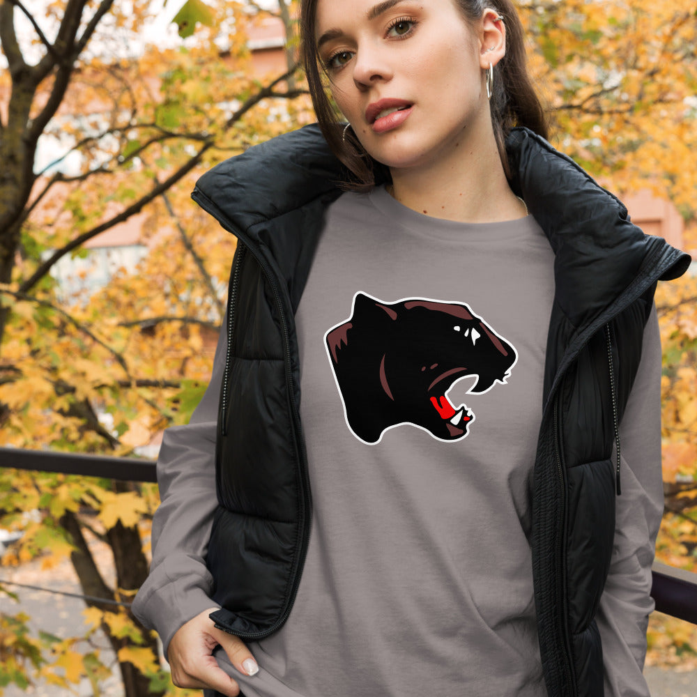 Collinsville High School Design 1 — Storm