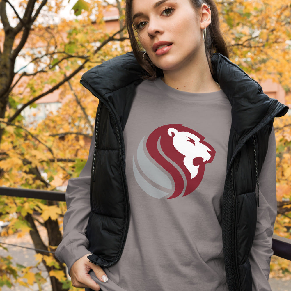 Haleyville High School Design 1 — Storm