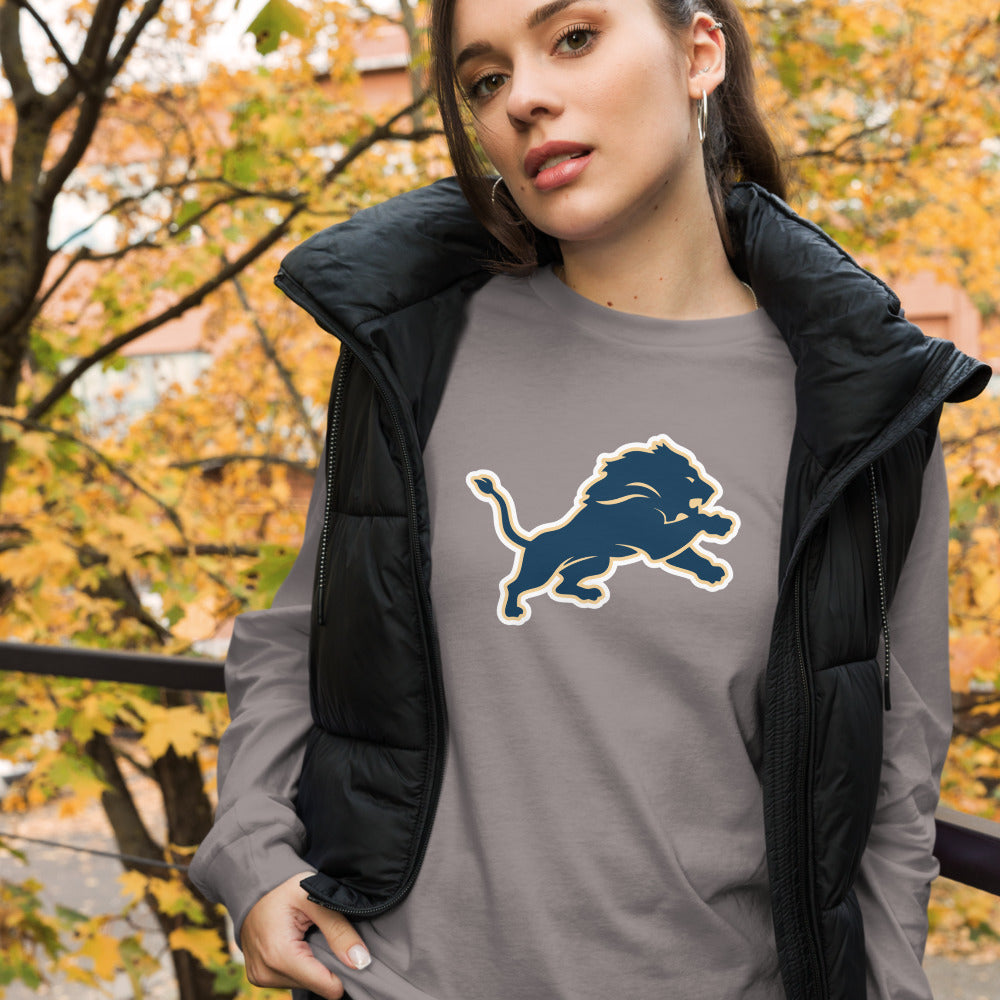 Brindlee Mountain High School Design 1 — Storm