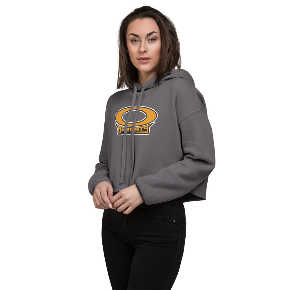 Opp High School Design 1 — Storm