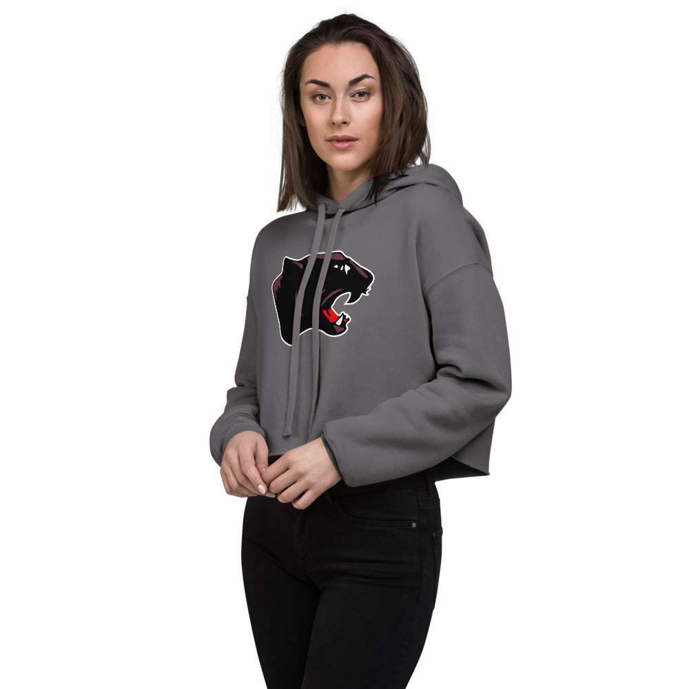 Collinsville High School Design 1 — Storm