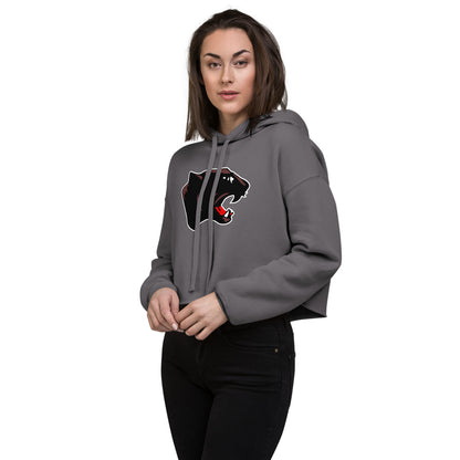 Collinsville High School Design 1 — Storm
