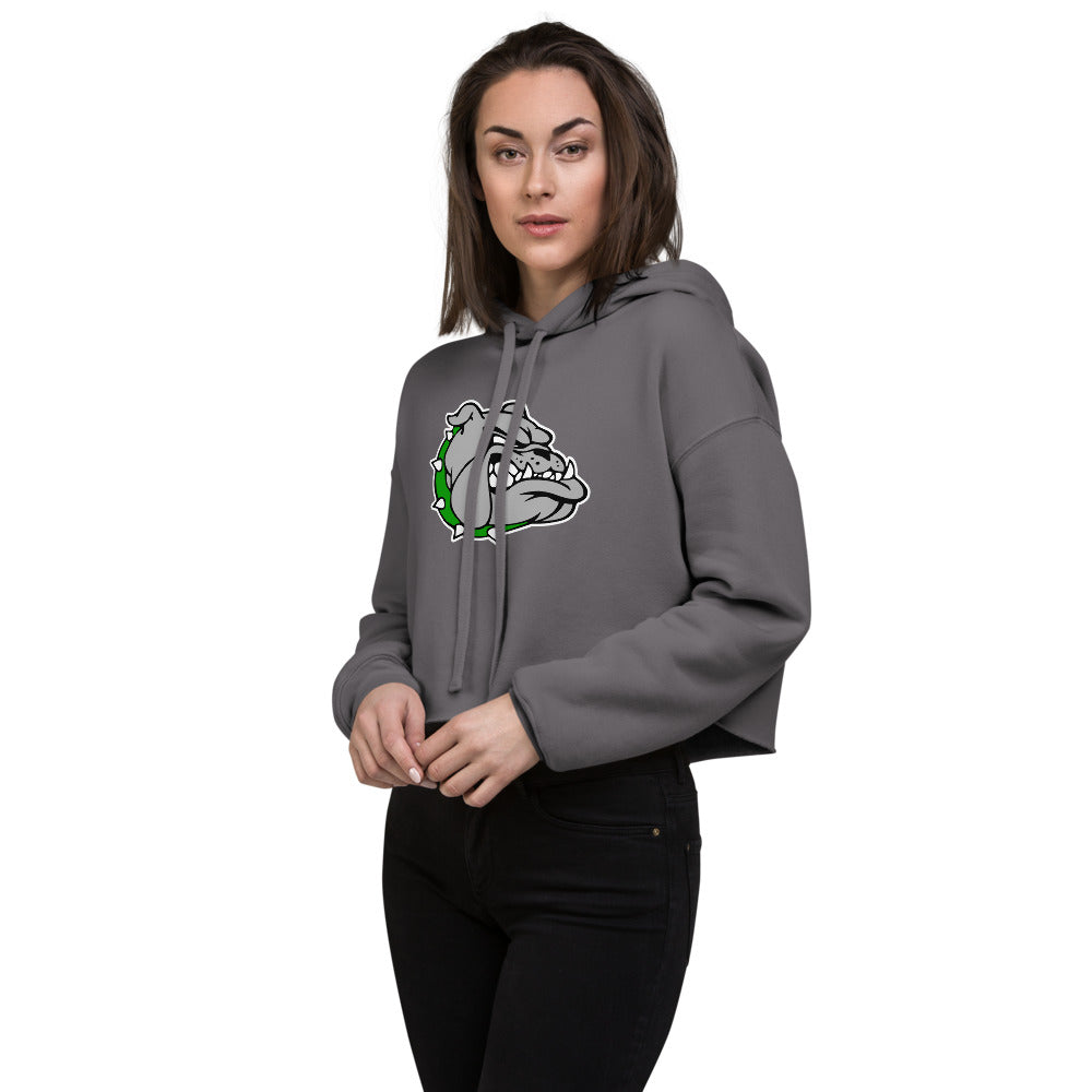 Ashville High School Design 1 — Storm