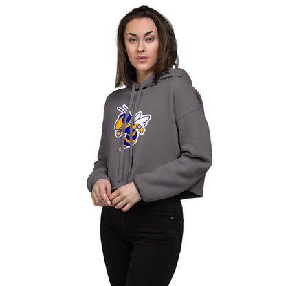 Curry High School Design 1 — Storm