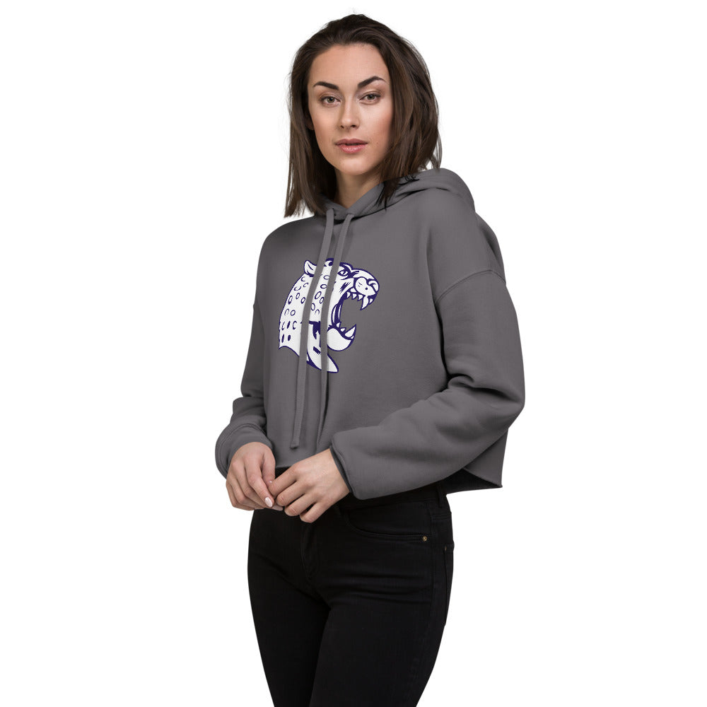 Mattie T. Blount High School Design 1 — Storm