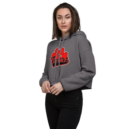 Cleburne County High School Design 1 — Storm