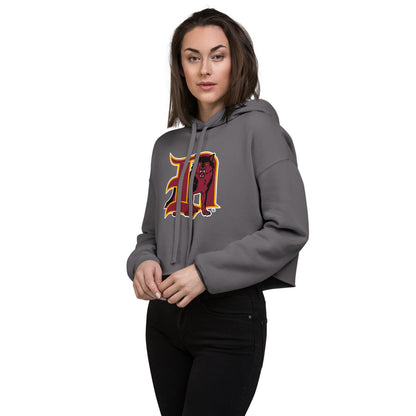 Dothan High School Design 1 — Storm