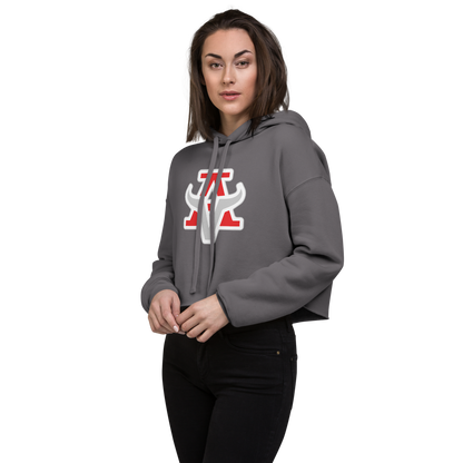 Arbor View High School Design 1 — Storm
