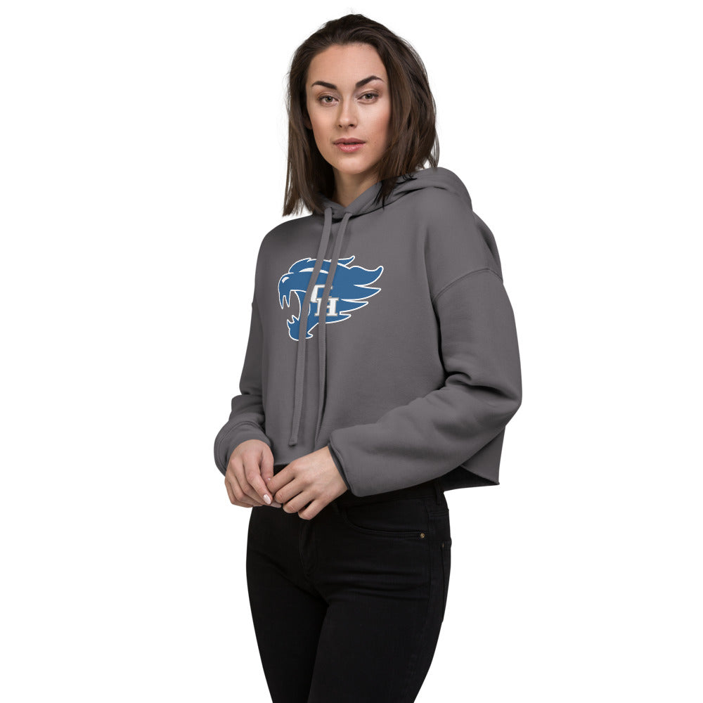 Colbert Heights High School Design 1 — Storm