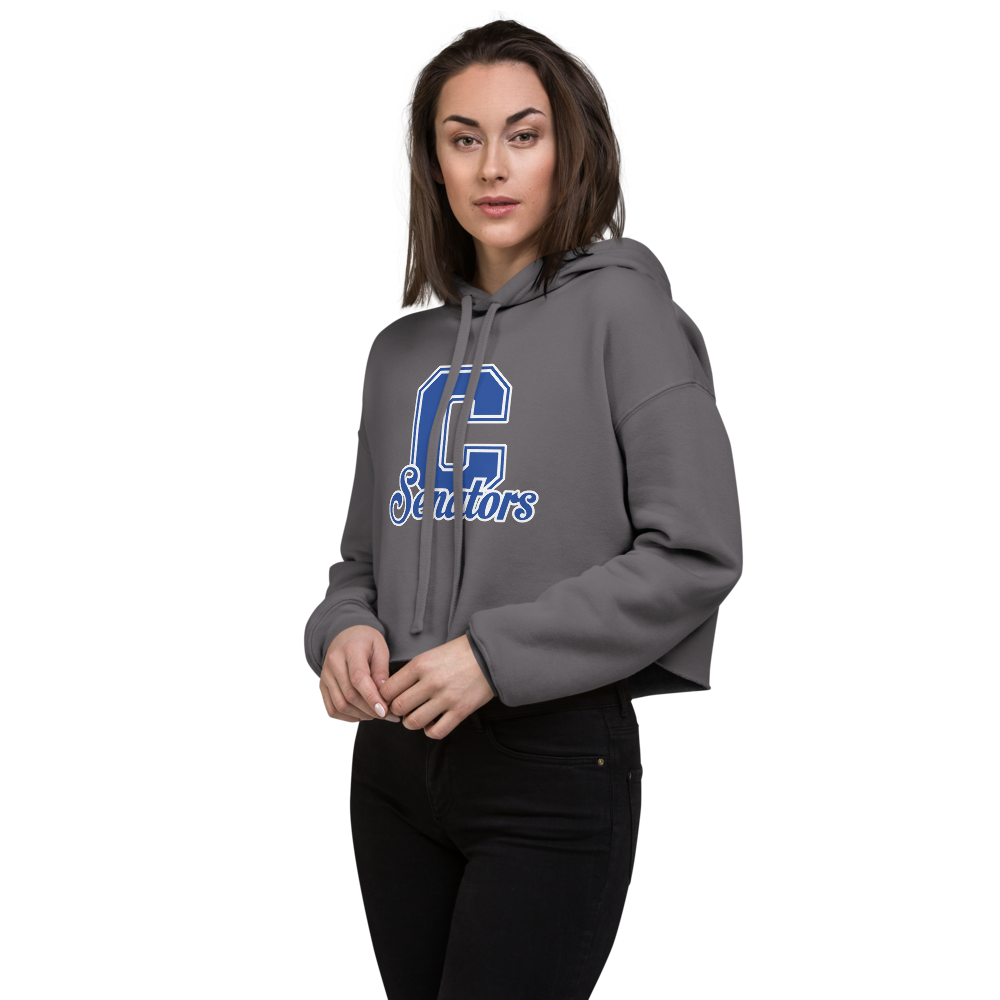 Carson High School Design 1 — Storm