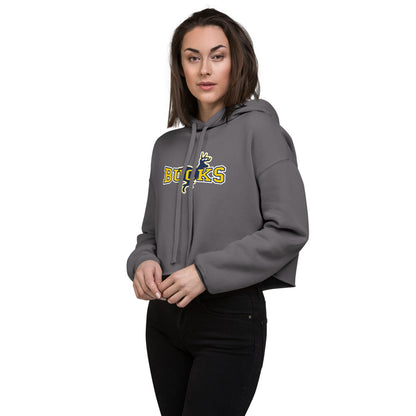 Buckhorn High School Design 1 — Storm