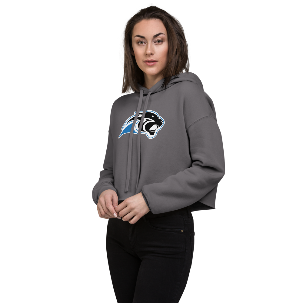 Pahranagat Valley High School Design 1 — Storm