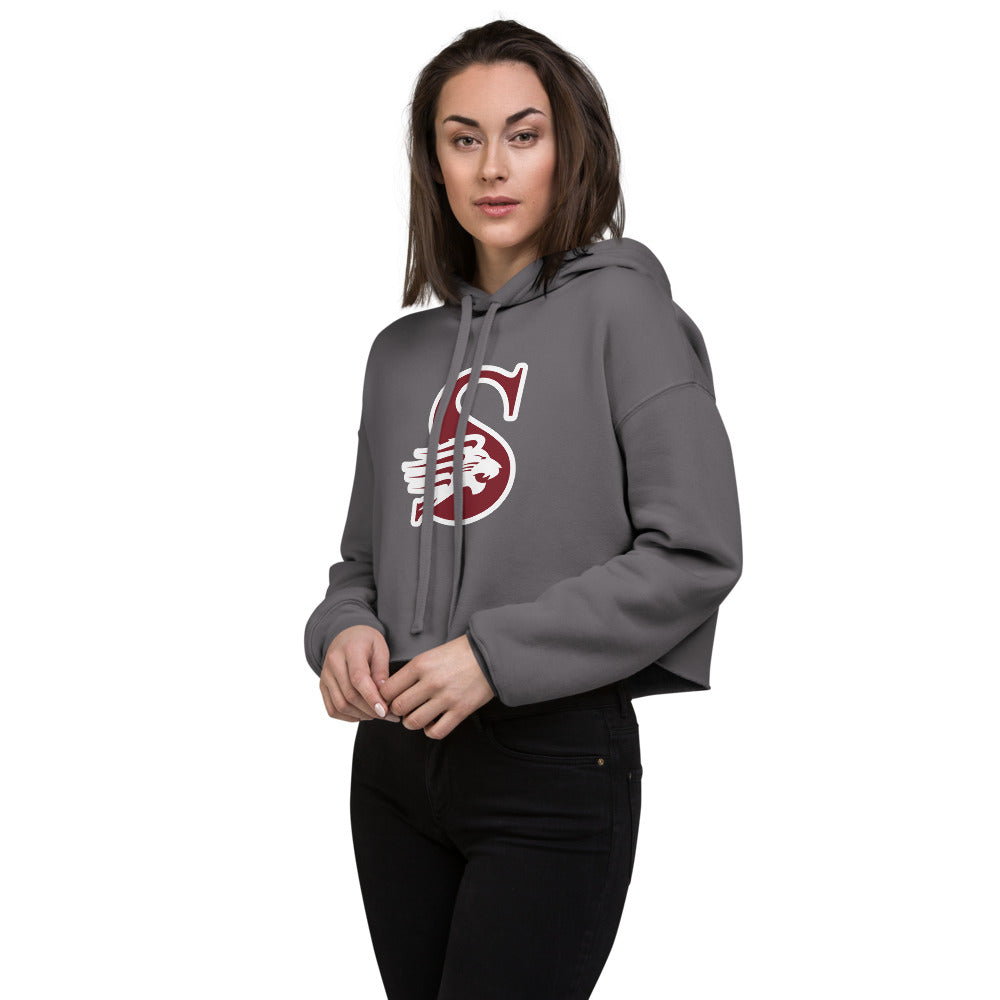 Sardis High School Design 1 — Storm