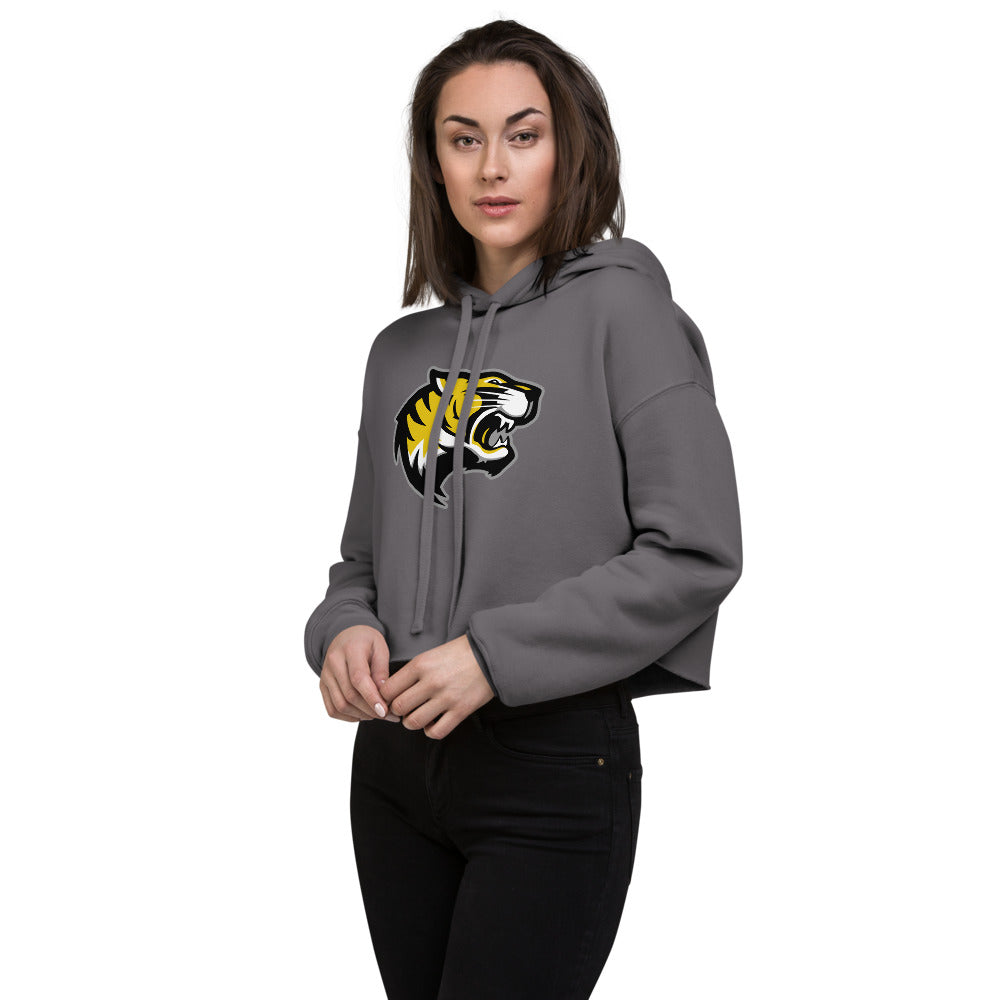 B B Comer High School Design 1 — Storm