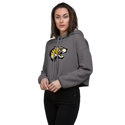 B B Comer High School Design 1 — Storm