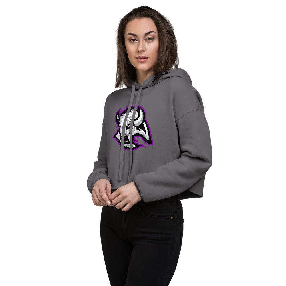 A H Parker High School Design 1 — Storm