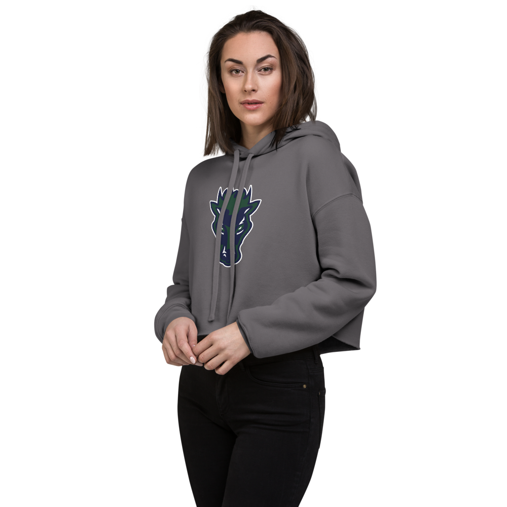 Damonte Ranch High School Design 1 — Storm
