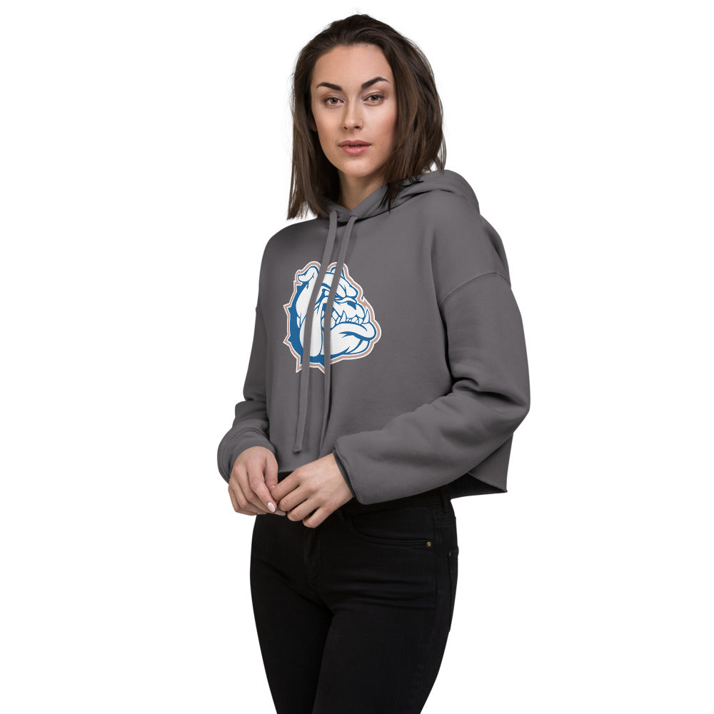Addison High School Design 1 — Storm