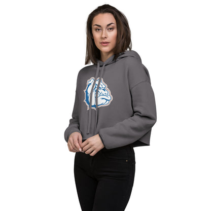 Addison High School Design 1 — Storm