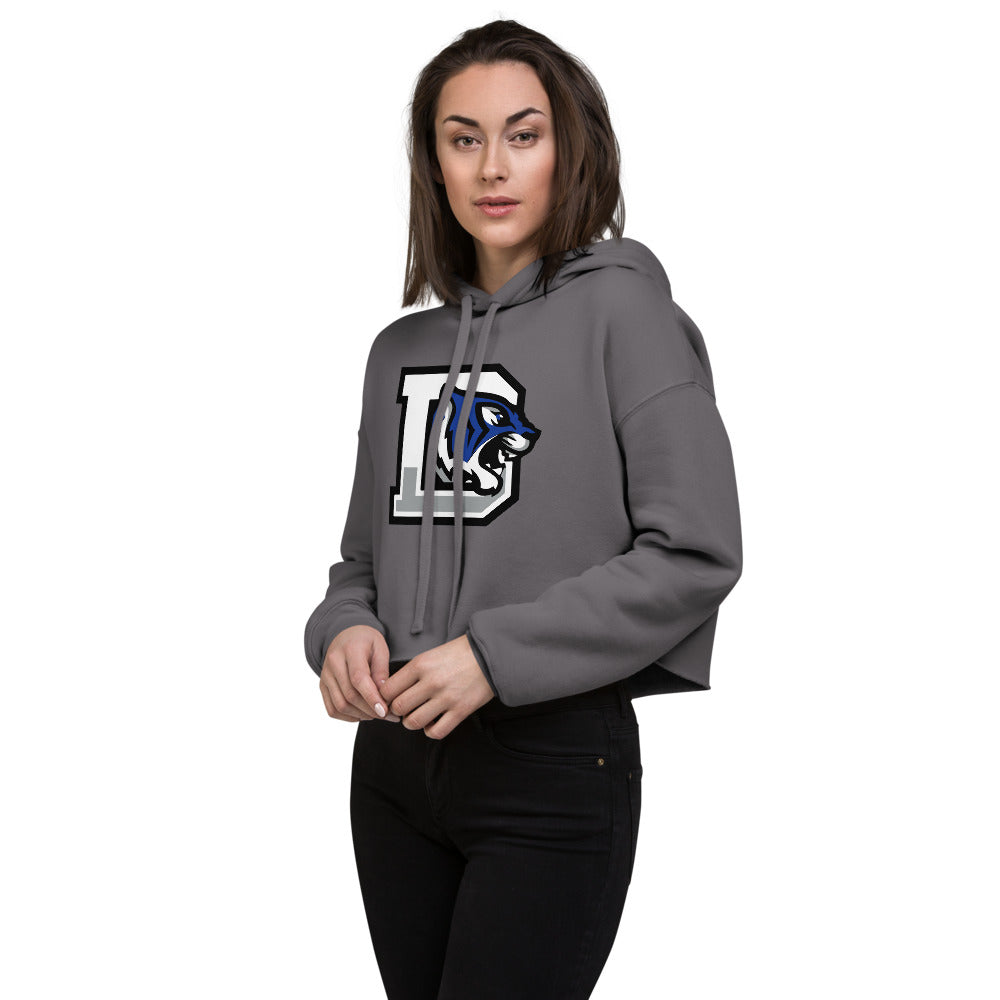 Demopolis High School Design 1 — Storm