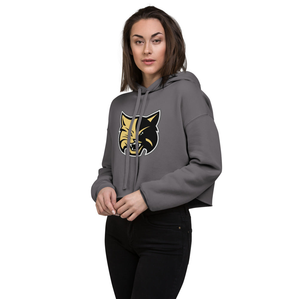 Fort Payne High School Design 1 — Storm