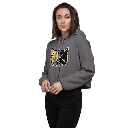 Fort Payne High School Design 1 — Storm