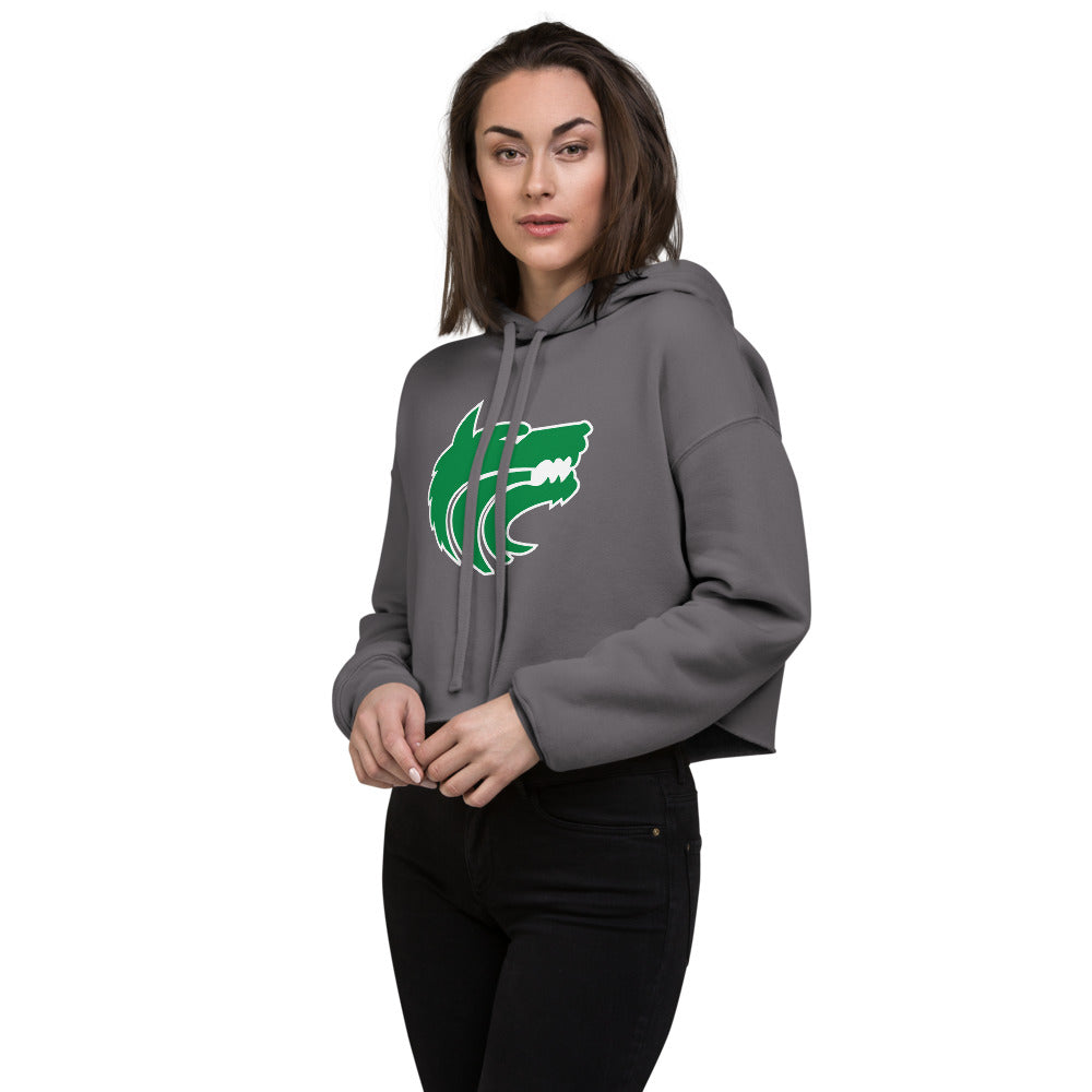 Vigor High School Design 1 — Storm