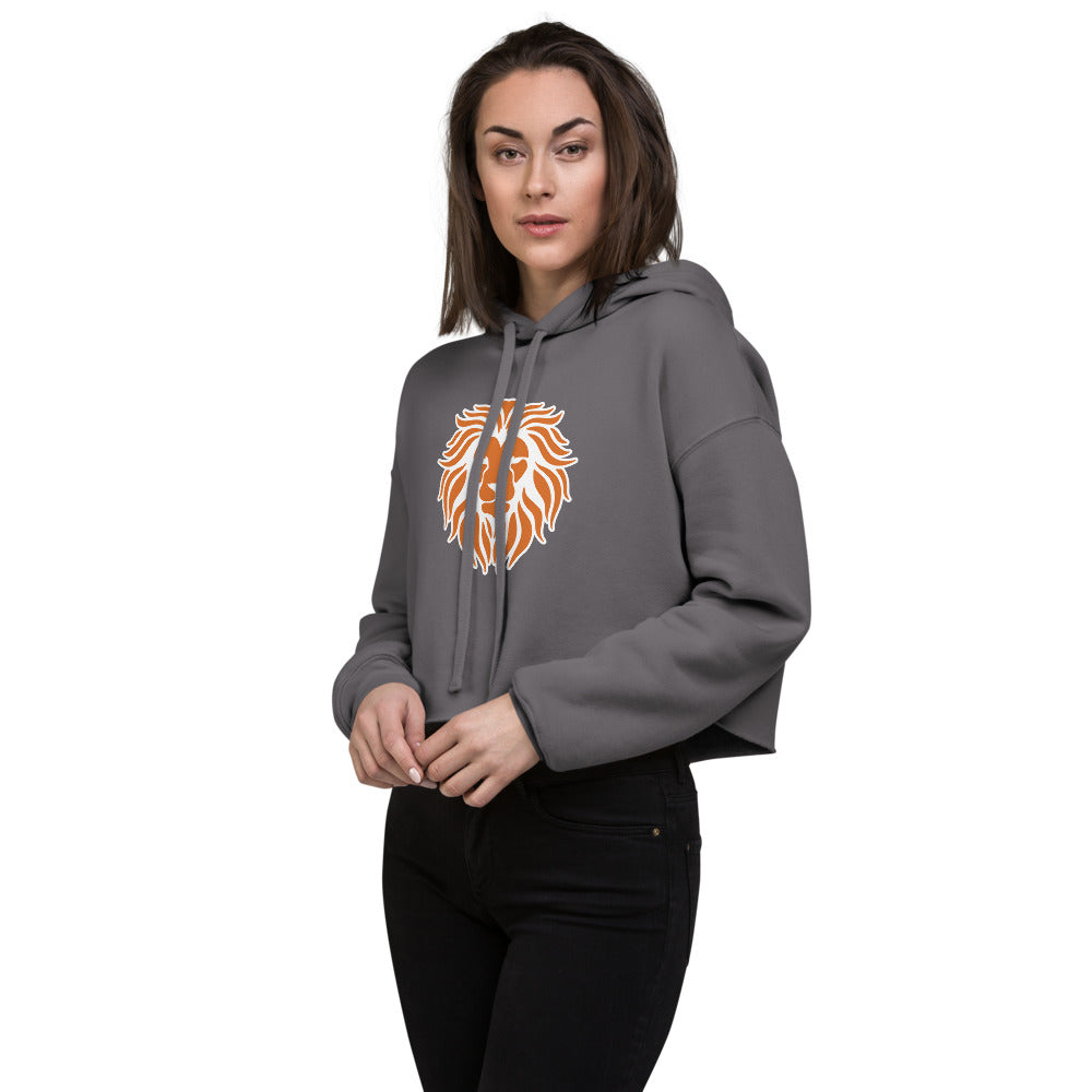 Brooks High School Design 1 — Storm