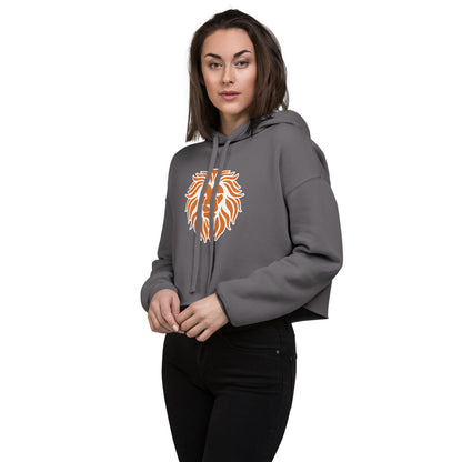 Brooks High School Design 1 — Storm