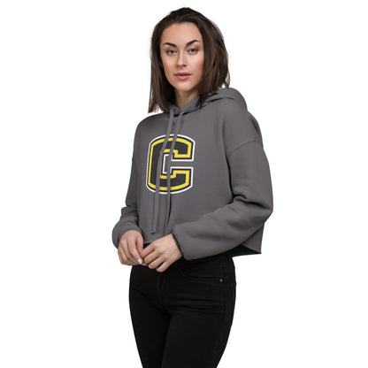 Cleveland High School Design 1 — Storm
