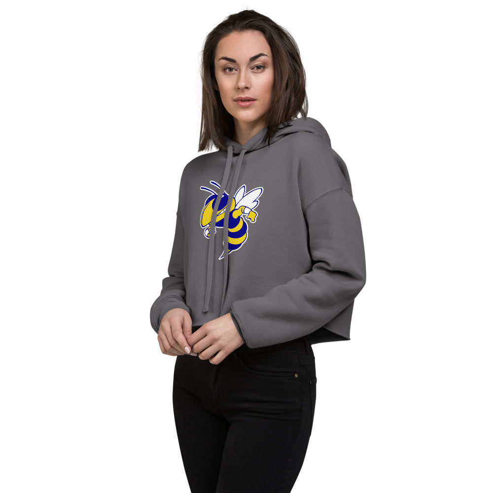 Aliceville High School Design 1 — Storm