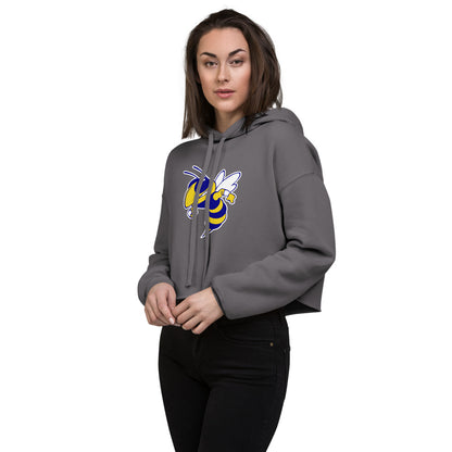 Aliceville High School Design 1 — Storm