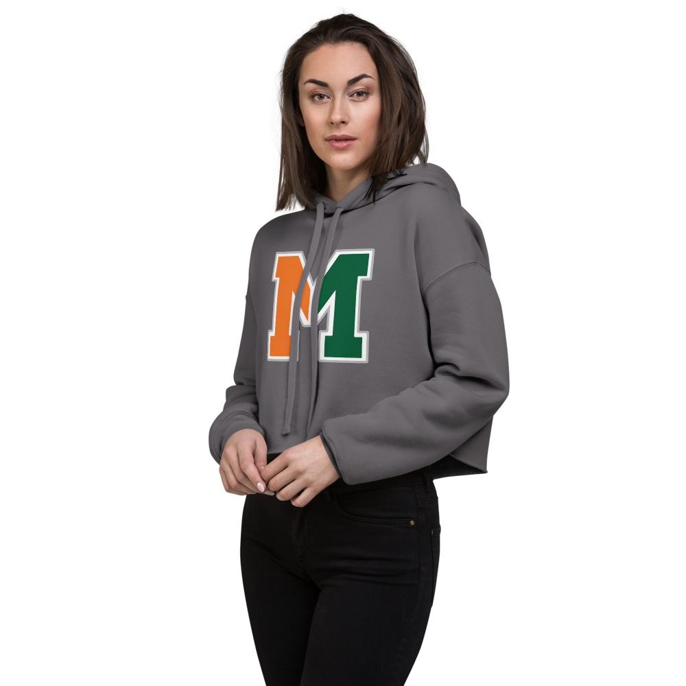 Mojave High School Design 1 — Storm