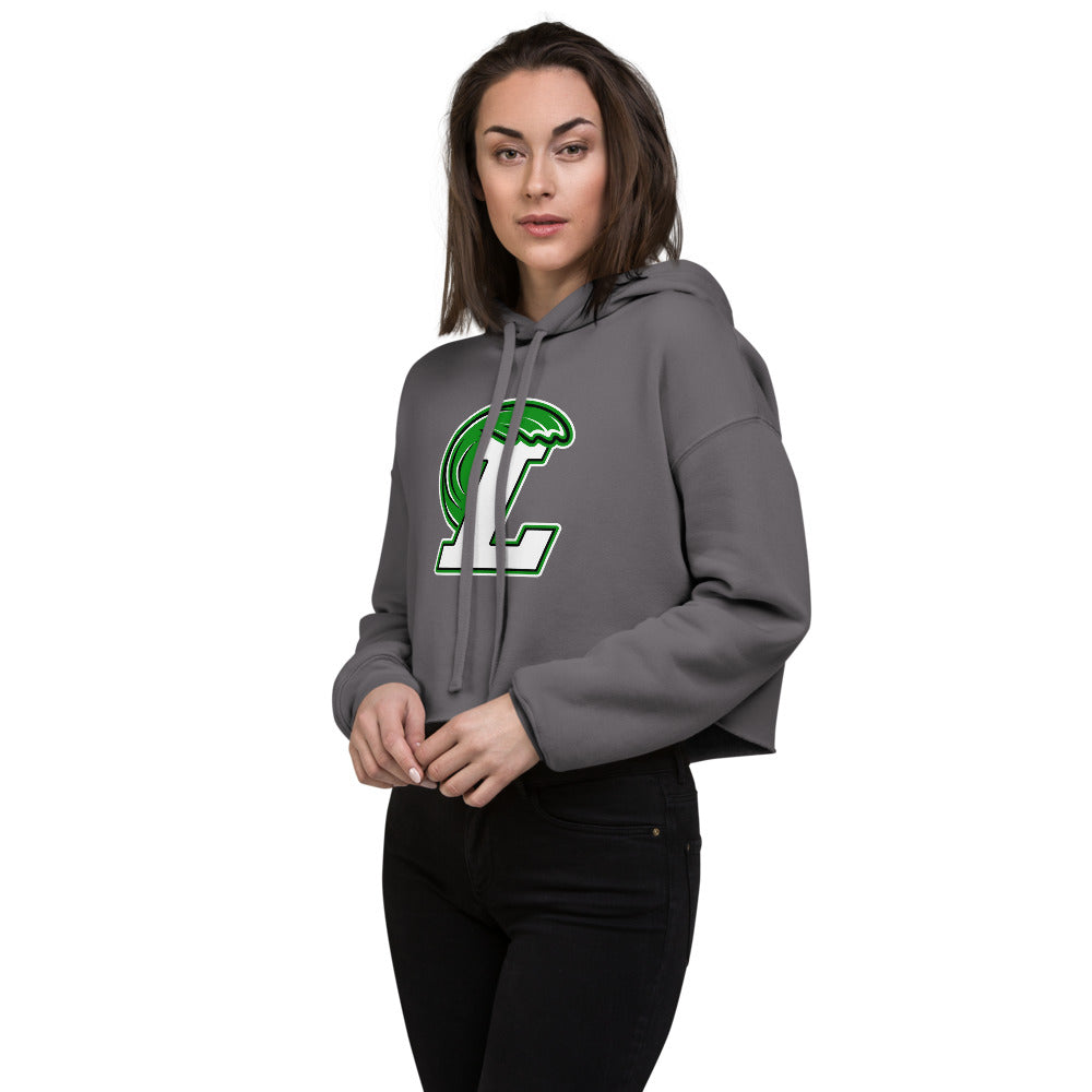 Leeds High School Design 1 — Storm