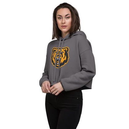 Leroy High School Design 1 — Storm