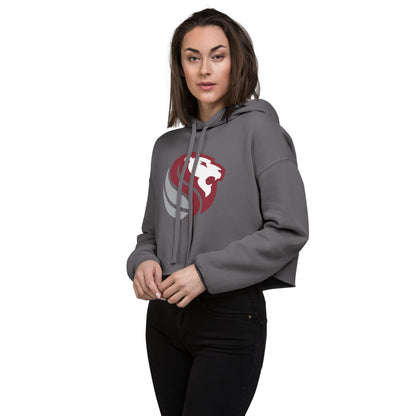 Haleyville High School Design 1 — Storm