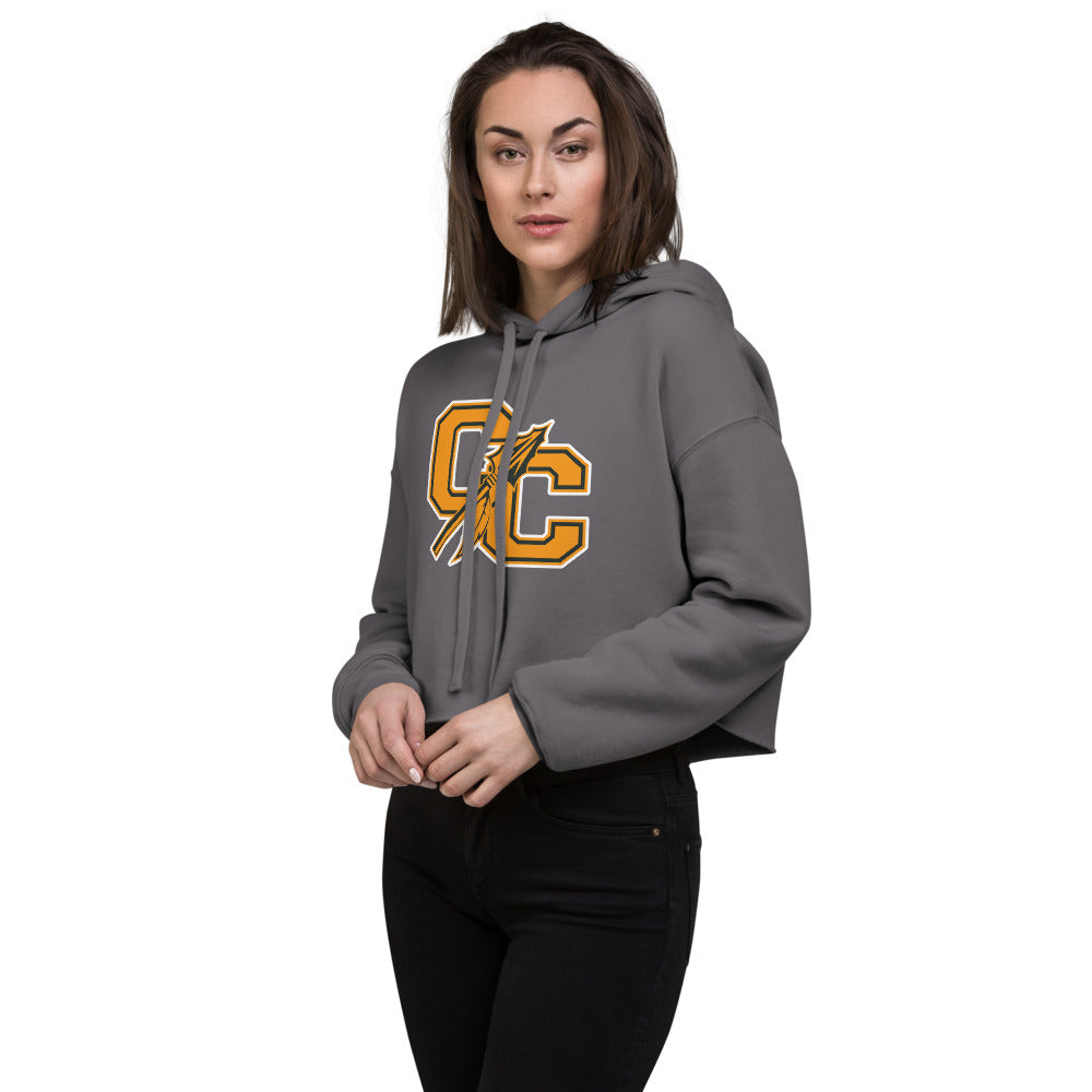 Cherokee County HIgh School Design 1 — Storm