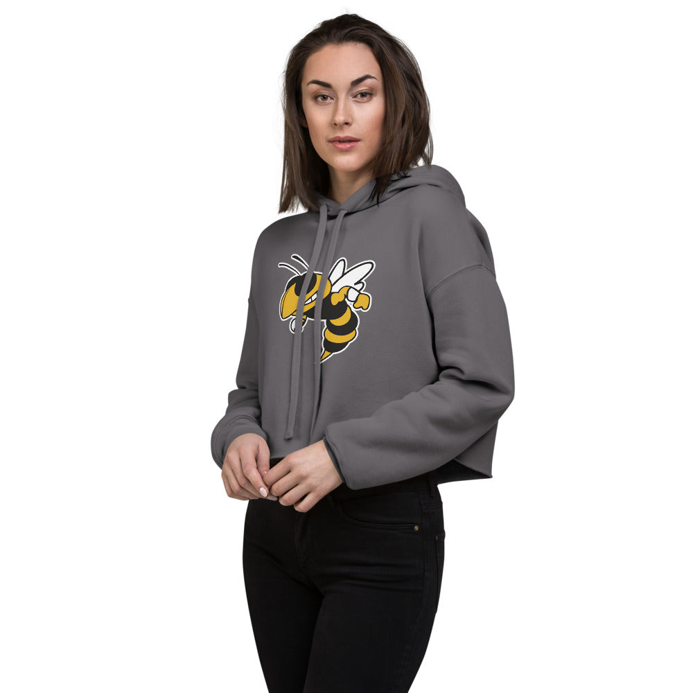 McAdory High School Design 1 — Storm