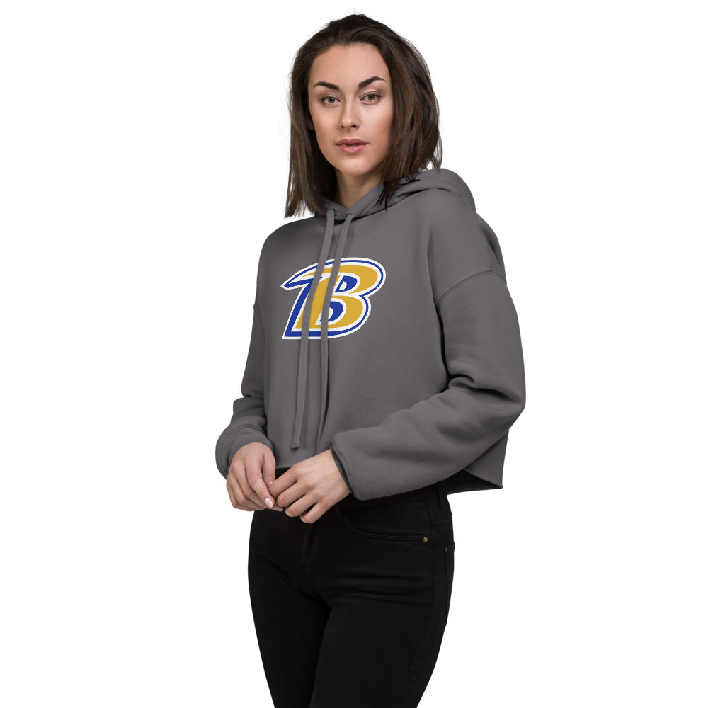 Beauregard High School Design 1 — Storm