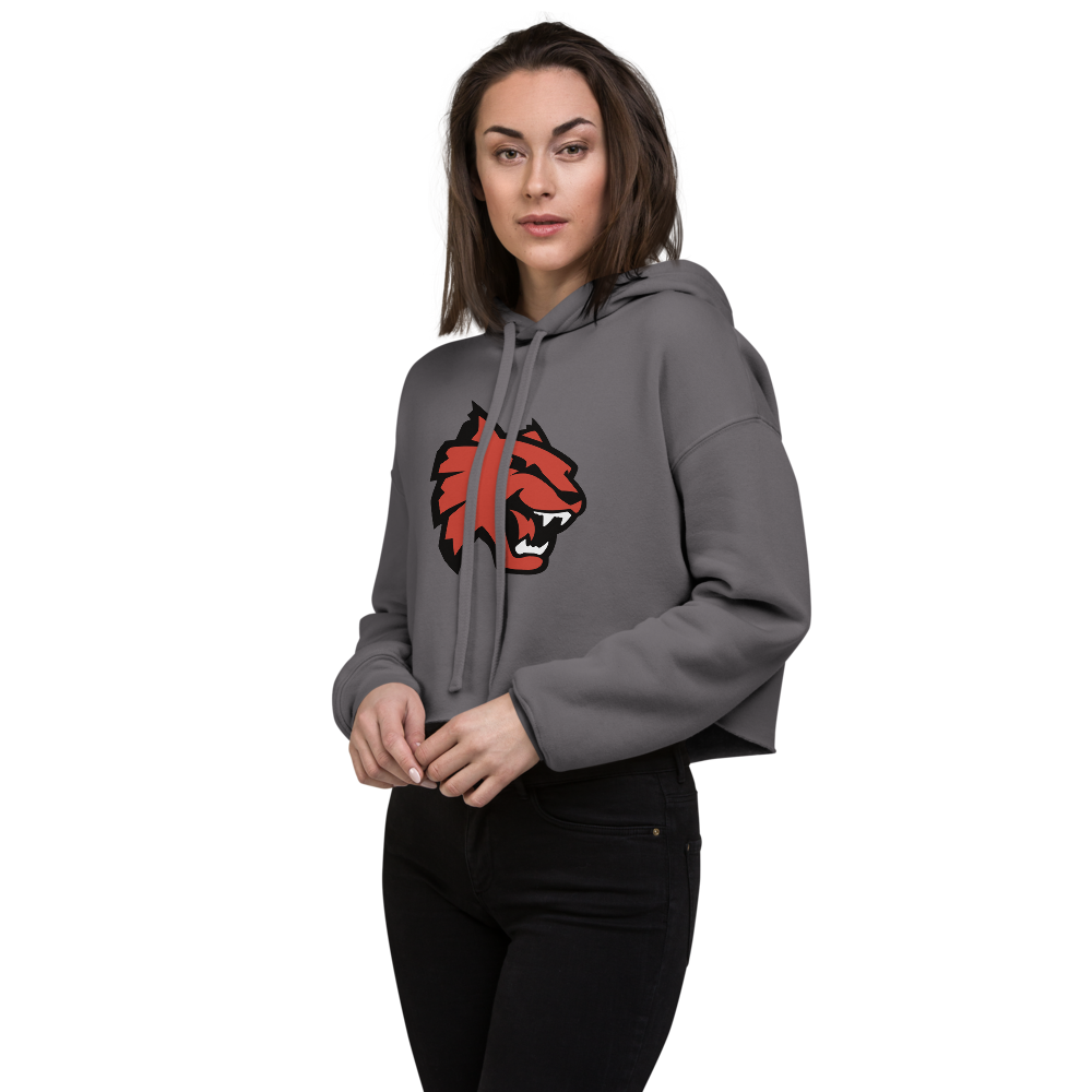 Las Vegas High School Design 1 — Storm