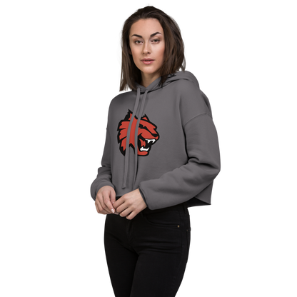 Las Vegas High School Design 1 — Storm