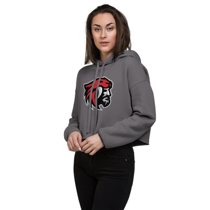 American Fork Cavemen Design 1 — Storm