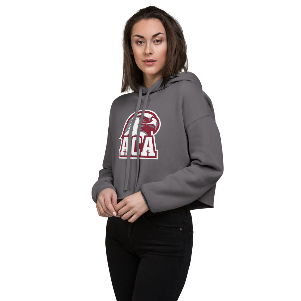 Alabama Christian Academy Design 1 — Storm
