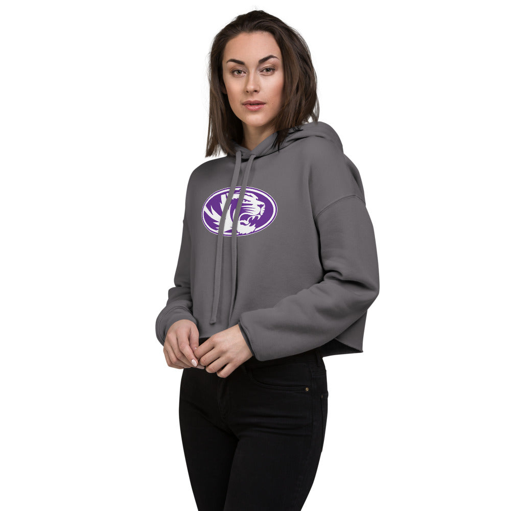 Minor High School Design 1 — Storm